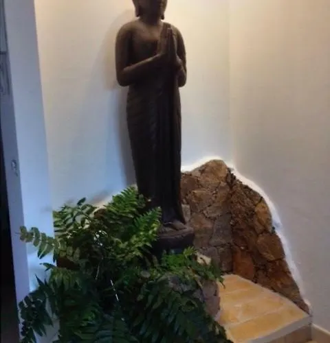 فيلة Club كوراليهو